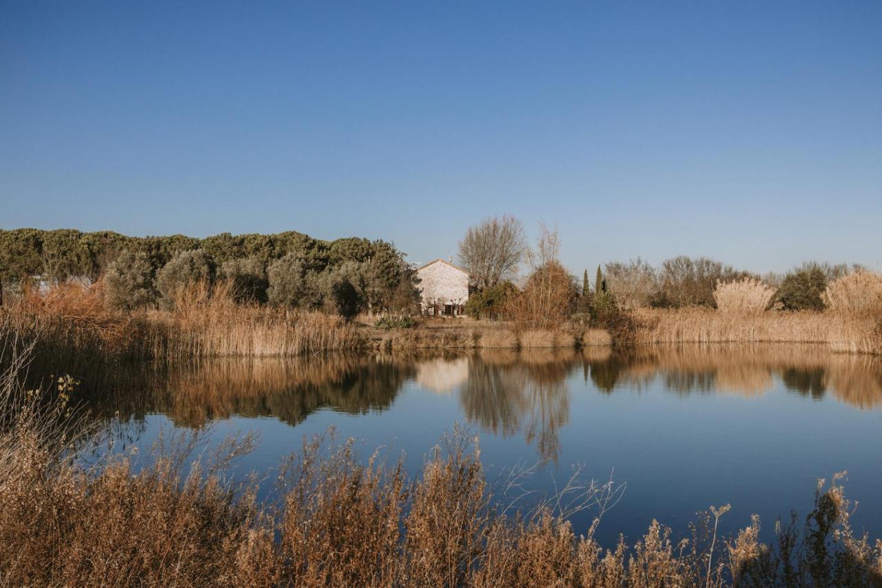 Bed and Breakfast Waya A Domaine Saint Domingue Narbona Zewnętrze zdjęcie